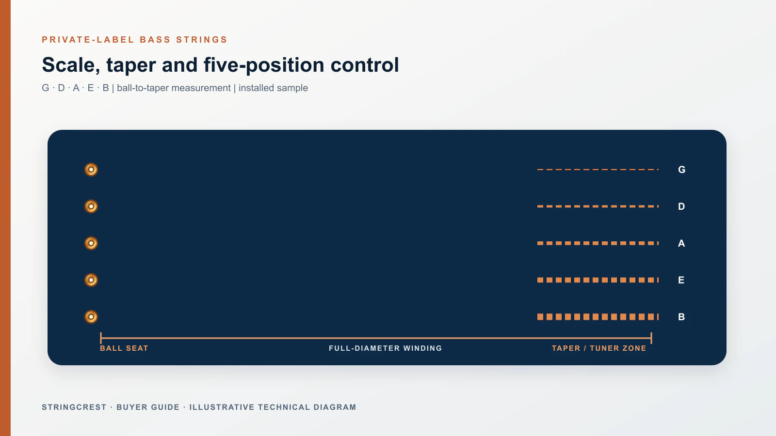 Five-position custom bass string scale and taper specification