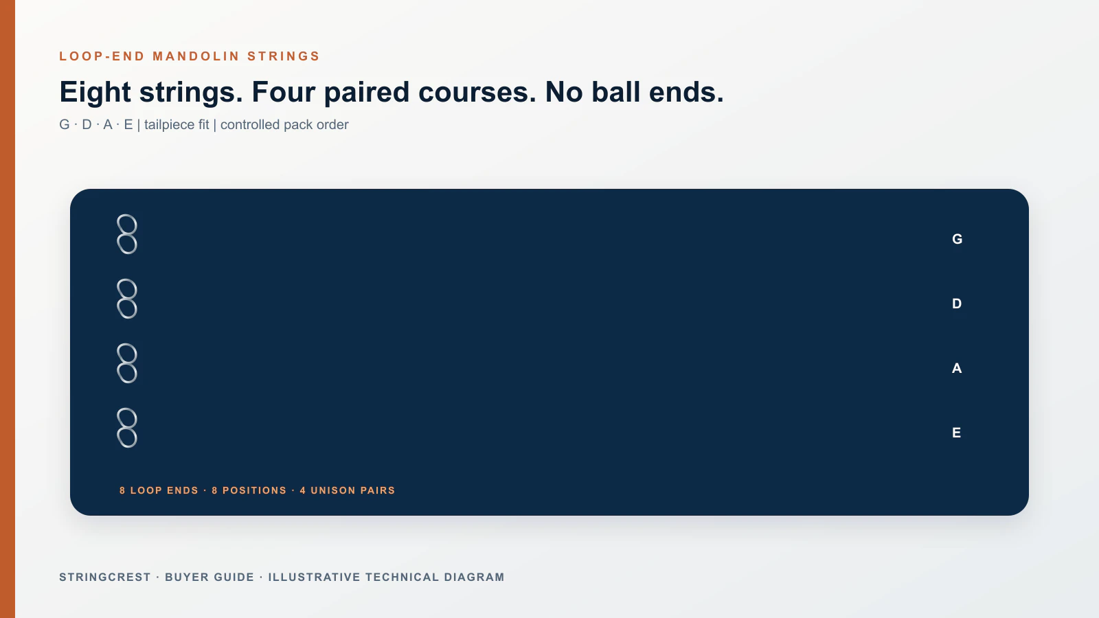 Eight loop-end mandolin strings arranged in four paired courses