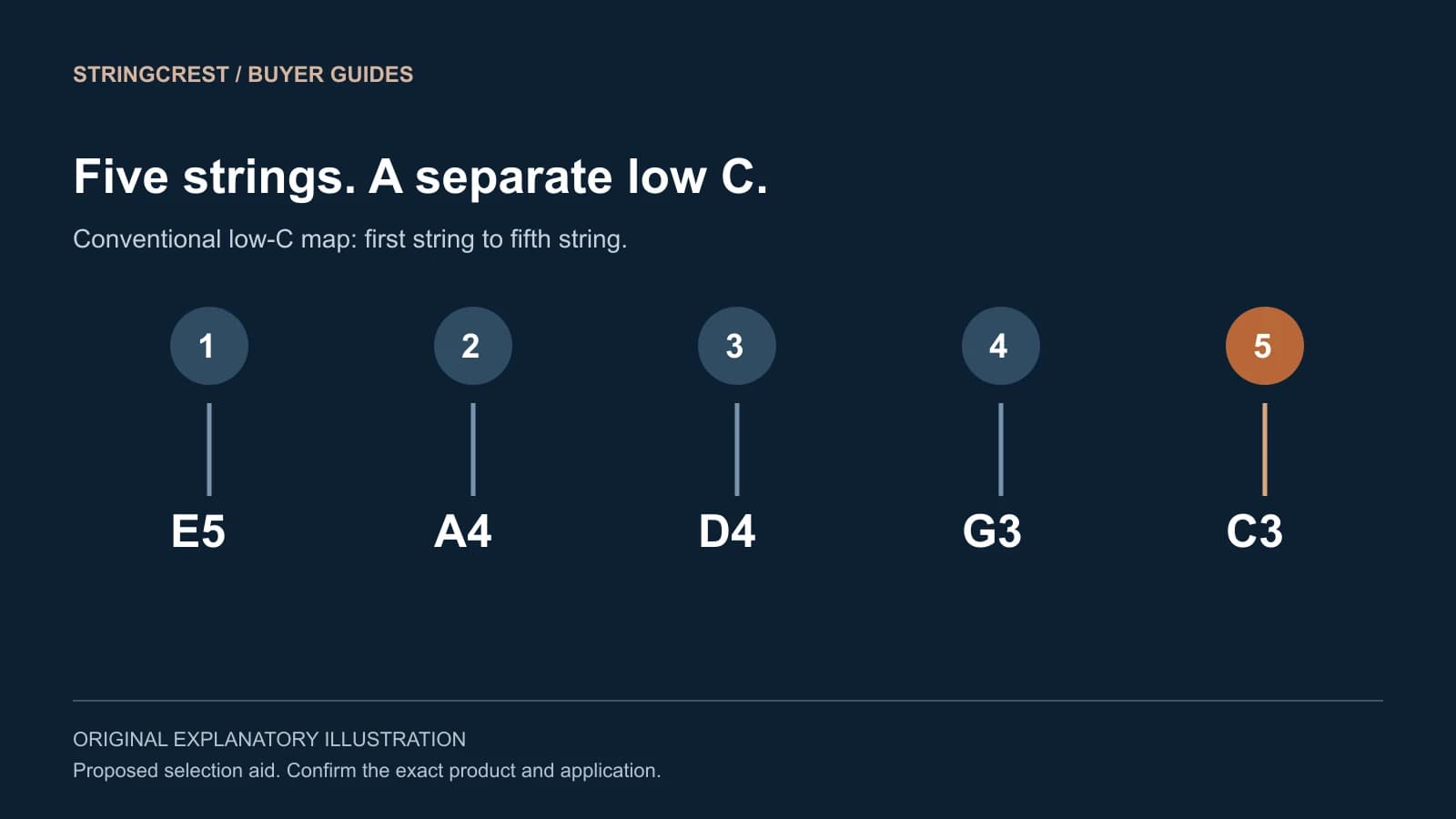 Five-string violin reference distinguishes four familiar positions from the added low C
