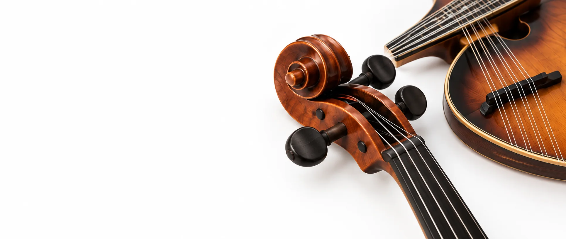 Folk & Orchestral Strings